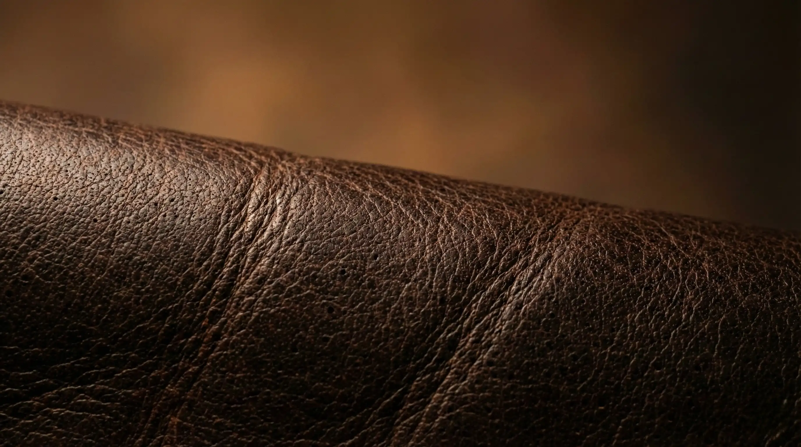 Leder Narbung Detailaufnahme